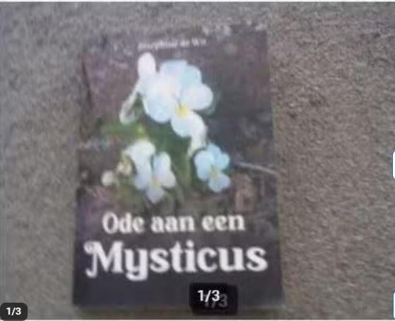Ode aan de mysticus Josephine de Wit, Achtergrond en Informatie, Ophalen of Verzenden, Zo goed als nieuw, Josephine de Wit