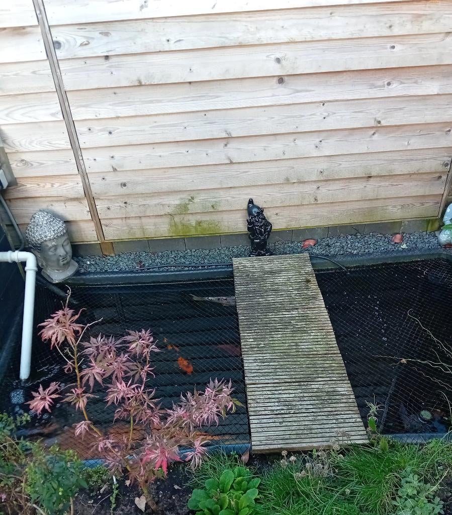 Complete vijver + koi vissen en toebehoren, Ophalen, Gebruikt