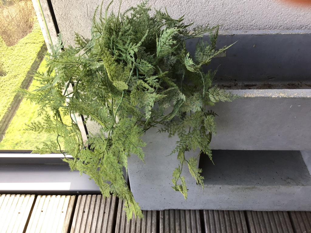 2x Kunstgroen met kunstkluit voor binnen/buiten (z.g.a.n.), Ophalen of Verzenden, Zo goed als nieuw