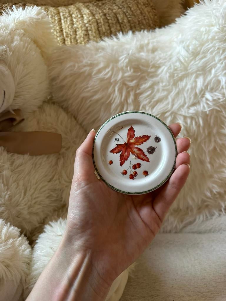 JBS theetip met herfst thema - editie november 2007, Ophalen of Verzenden, Zo goed als nieuw