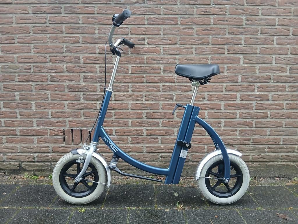 Van Raam loopfiets voor volwassenen, Ophalen of Verzenden, Zo goed als nieuw