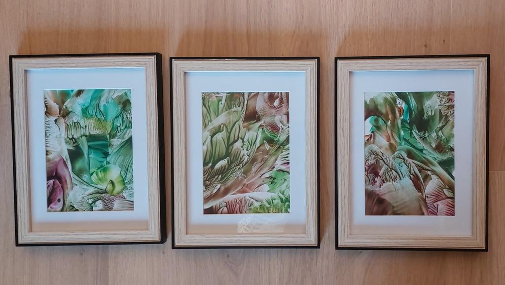 Drieluik 'Groei', Ophalen of Verzenden