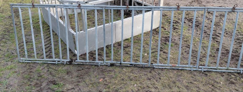 Hekwerk tussenhek, Meerdere dieren, Schaap