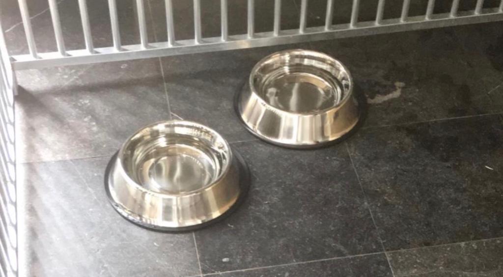 Honden drink bakken, Ophalen, Zo goed als nieuw