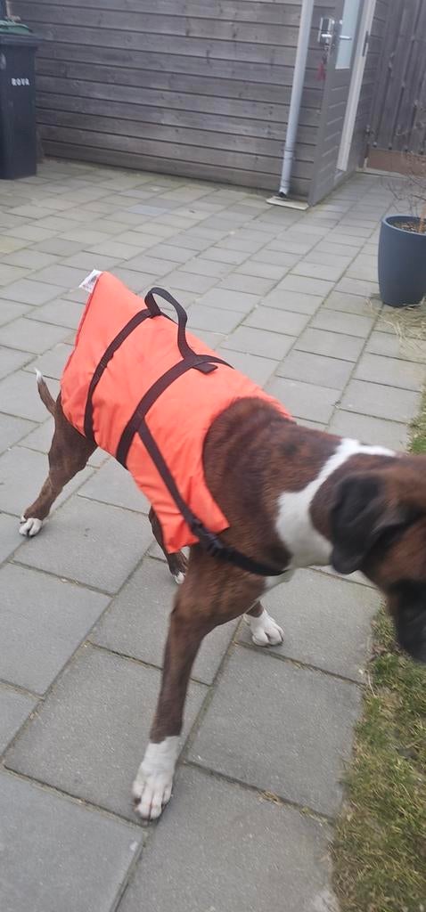 Zwemvest middel grote hond, Ophalen of Verzenden, Zo goed als nieuw