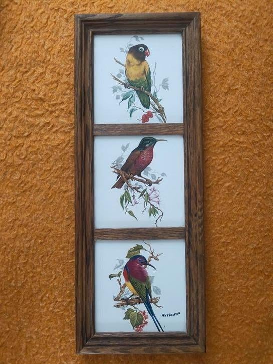 Zeldzaam: Vintage Mosa tegels Avifauna, ingelijst, jaren 60, Minder dan 50 cm, Gebruikt, 50 tot 75 cm, Ophalen of Verzenden