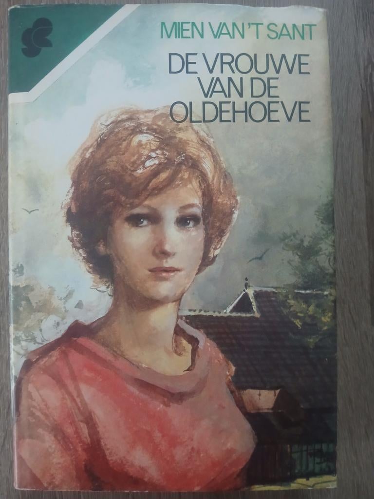 De vrouwe van de Oldehoeve | Mien van 't Sant, Ophalen of Verzenden, Zo goed als nieuw