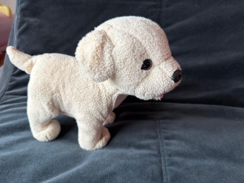 Baby born hondje, Kinderen en Baby's, Speelgoed | Knuffels en Pluche, Ophalen, Gebruikt, Hond