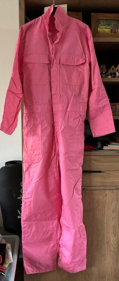 Carnavalskleding - Roze Overall & Pruik, Kleding | Dames, Carnavalskleding en Feestkleding, Gedragen, Kleding, Carnaval, Maat 38/40 (M)