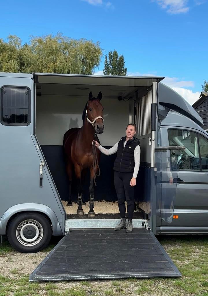 Paardentaxi - paardenwagen - transport, Taxivervoer