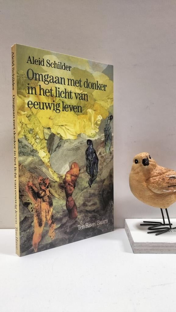 Schilder, Aleid; Omgaan met donker in het licht van eeuwig, Boeken, Ophalen of Verzenden, Gelezen, Christendom | Protestants