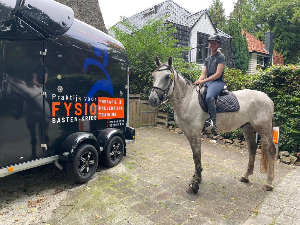 Gezocht stalling/weide/perceel omgeving Soest, Dieren en Toebehoren, Stalling en Weidegang, Weidegang, 1 paard of pony