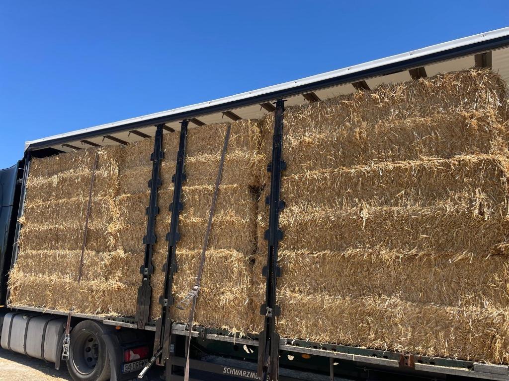 Trawestro  - Gerstestro - Strooisel - Spaans gehamerd stro, Meerdere dieren