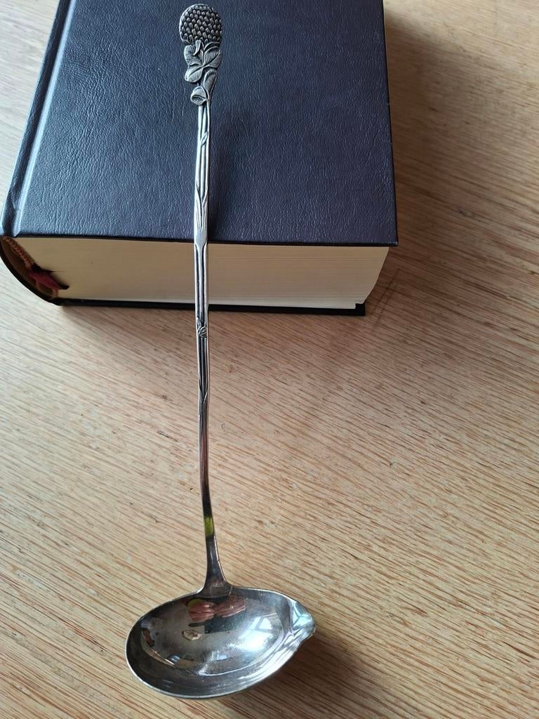 Bowllepel met mooi motief op de steel, Ophalen