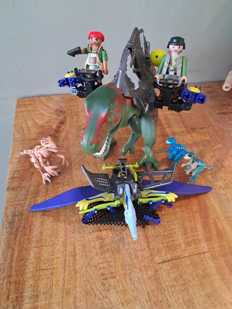 Playmobil Dino set met figuren en vliegtoestel, Ophalen of Verzenden, Gebruikt, Los playmobil