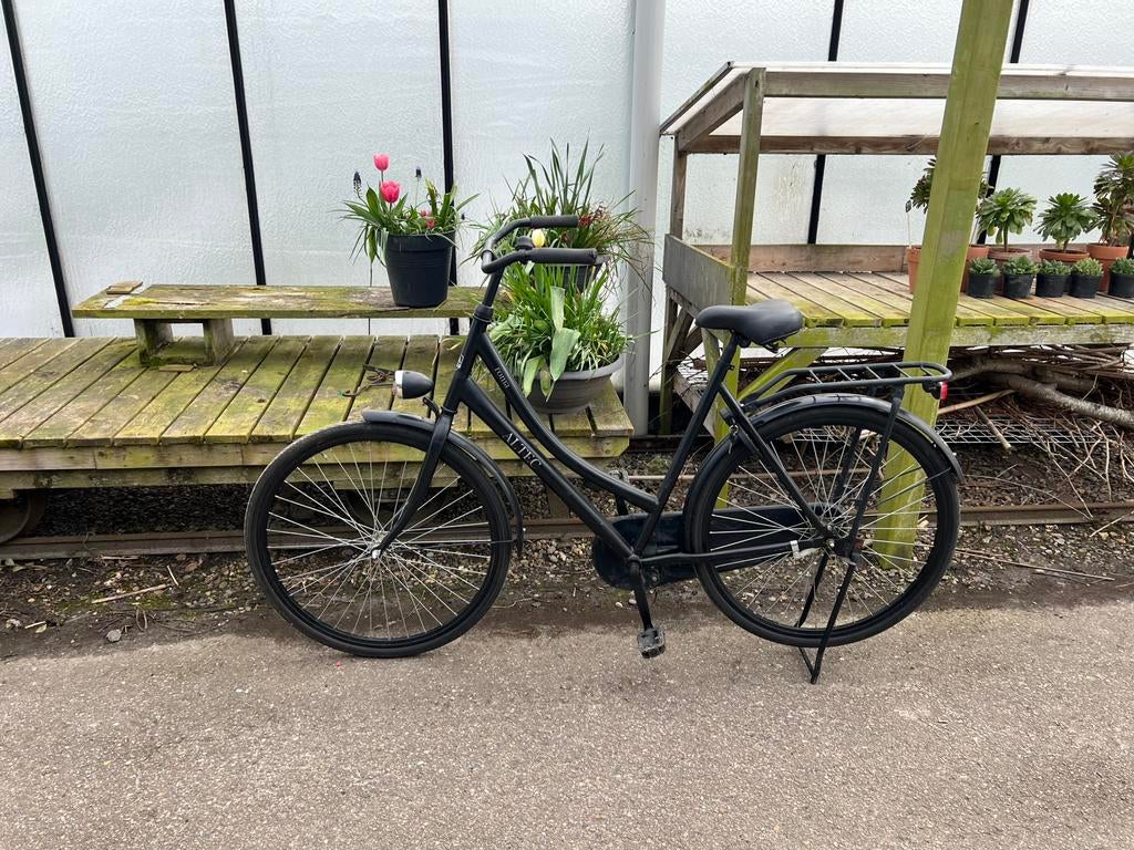 Altec Roma damesfiets basic €110, Gebruikt, Versnellingen, 56 cm of meer, Ophalen