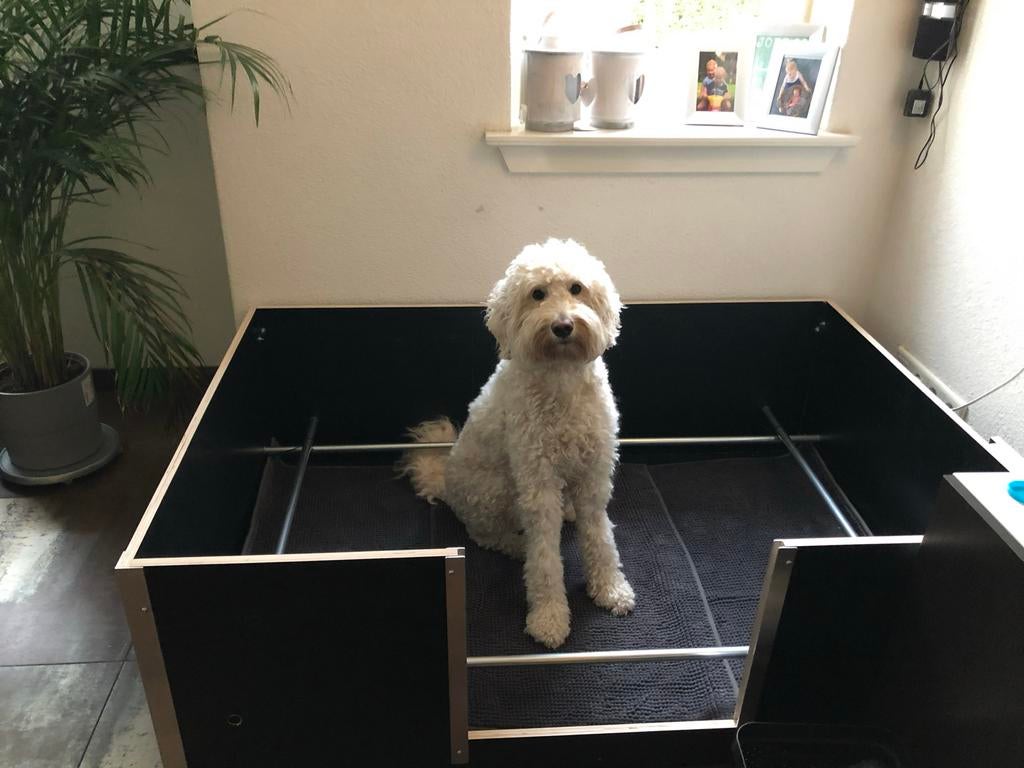 Werpkist, Dieren en Toebehoren, Honden-accessoires, Ophalen, Gebruikt