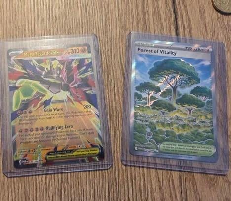Perfect Order hits zygarde & forest, Ophalen of Verzenden