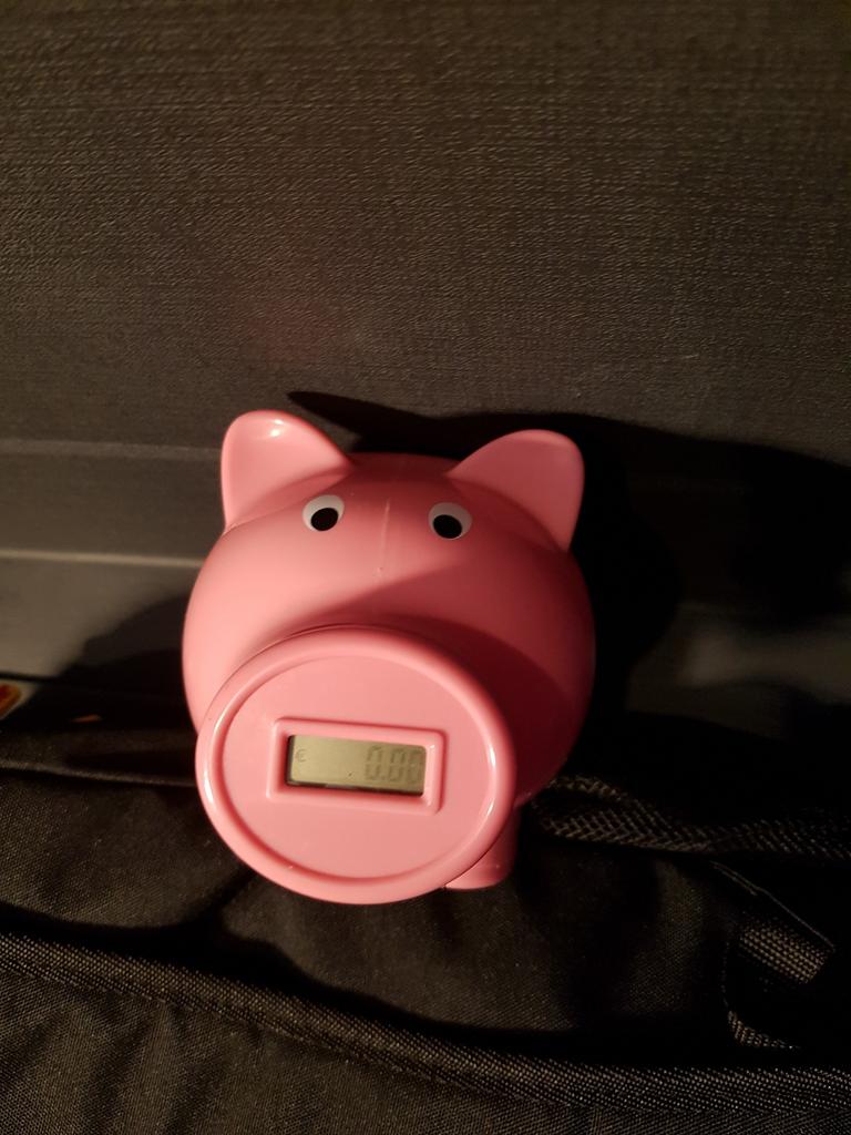 Spaarvarken, Ophalen of Verzenden, Dier