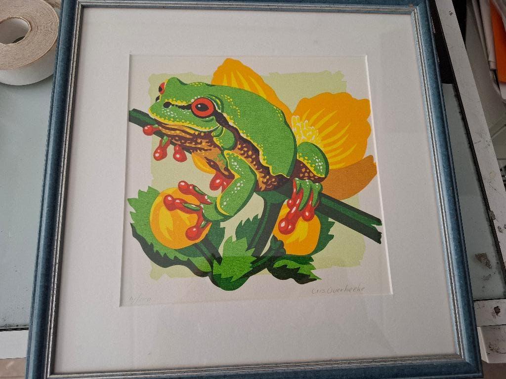 Cris Overbeeke boomkikker, Verzenden