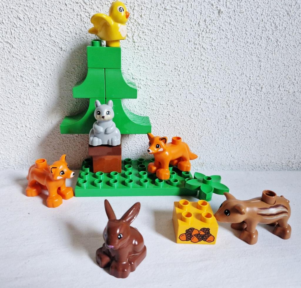 Duplo bosdieren vos everzwijn eekhoorn konijn vogel, Ophalen of Verzenden, Gebruikt, Duplo