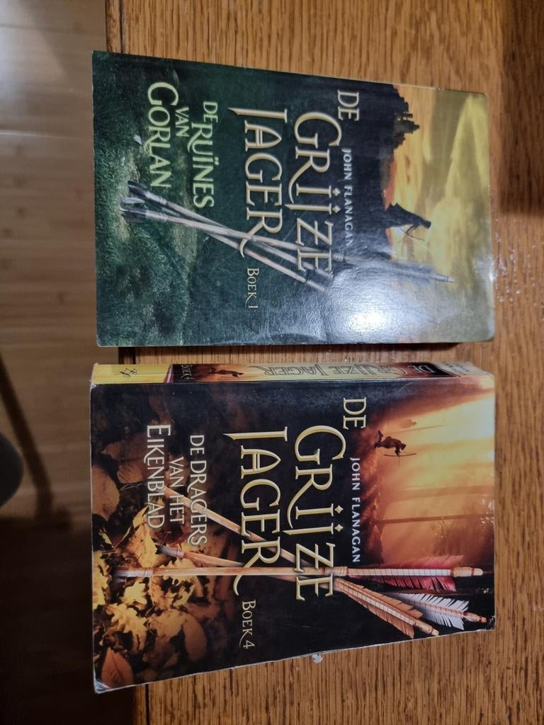 De Grijze Jager boeken 1 en 4, Boeken, Ophalen of Verzenden