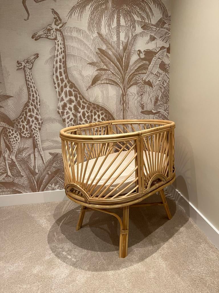 Rotan wieg inclusief matras, Ophalen, Zo goed als nieuw, Wieg