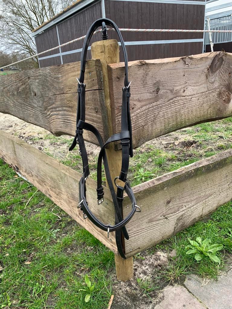 Lederen kaptoom, Ophalen of Verzenden, Zo goed als nieuw, Dressuur