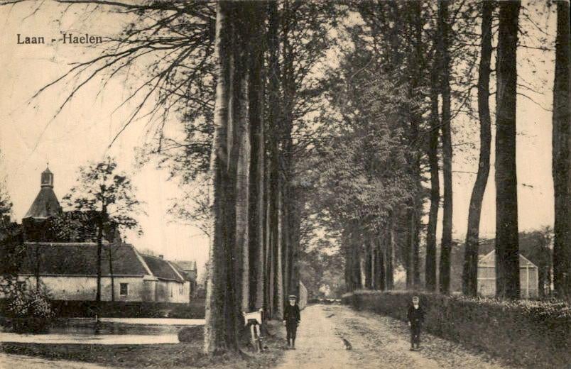 Haelen - Laan - 1920, Verzamelen, Verzenden, Voor 1920, Gelopen, Limburg