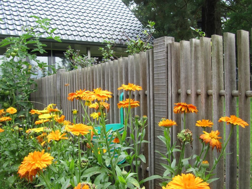 Houten hekjes hekwerk hekken van hardhout tuinafscheiding, Ophalen, Zo goed als nieuw, Hout, Tuinhek