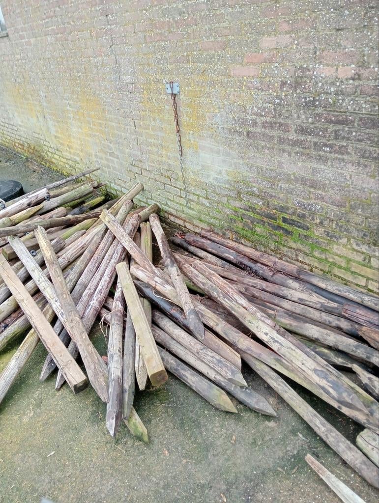 Weide palen, Ophalen, Minder dan 180 cm, Palen