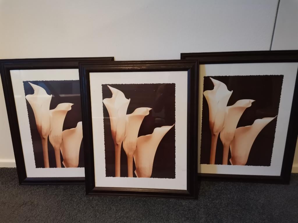 Schilderij/print incl lijst 3 luik Aronskelk, Ophalen, Minder dan 50 cm, 50 tot 75 cm, Zo goed als nieuw