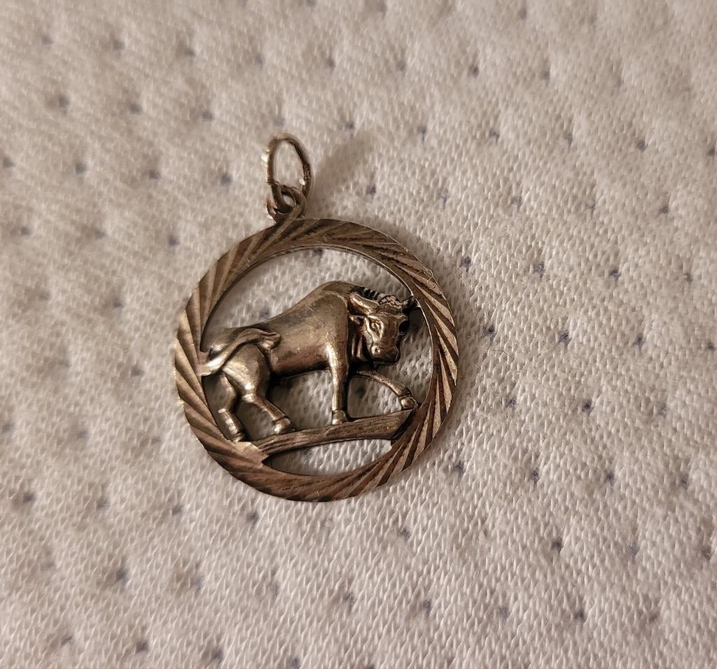 Zilveren ketting hanger, Ophalen of Verzenden, Zo goed als nieuw, Zilver, Zilver