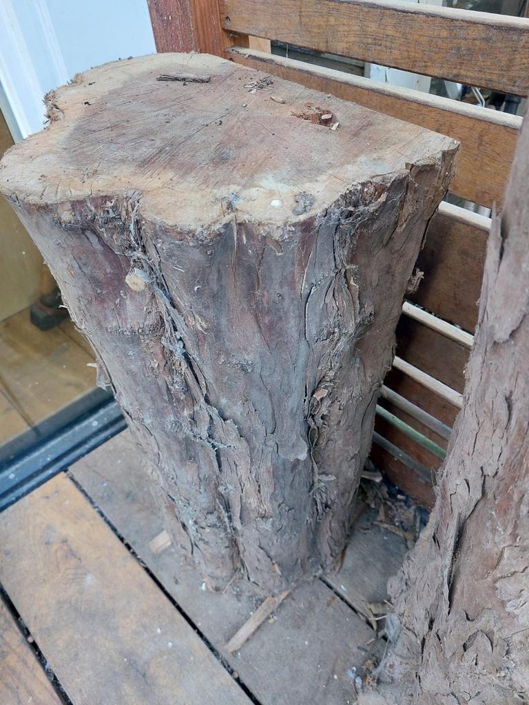 Prachtig stuk Taxushout, Hobby en Vrije tijd, Ophalen