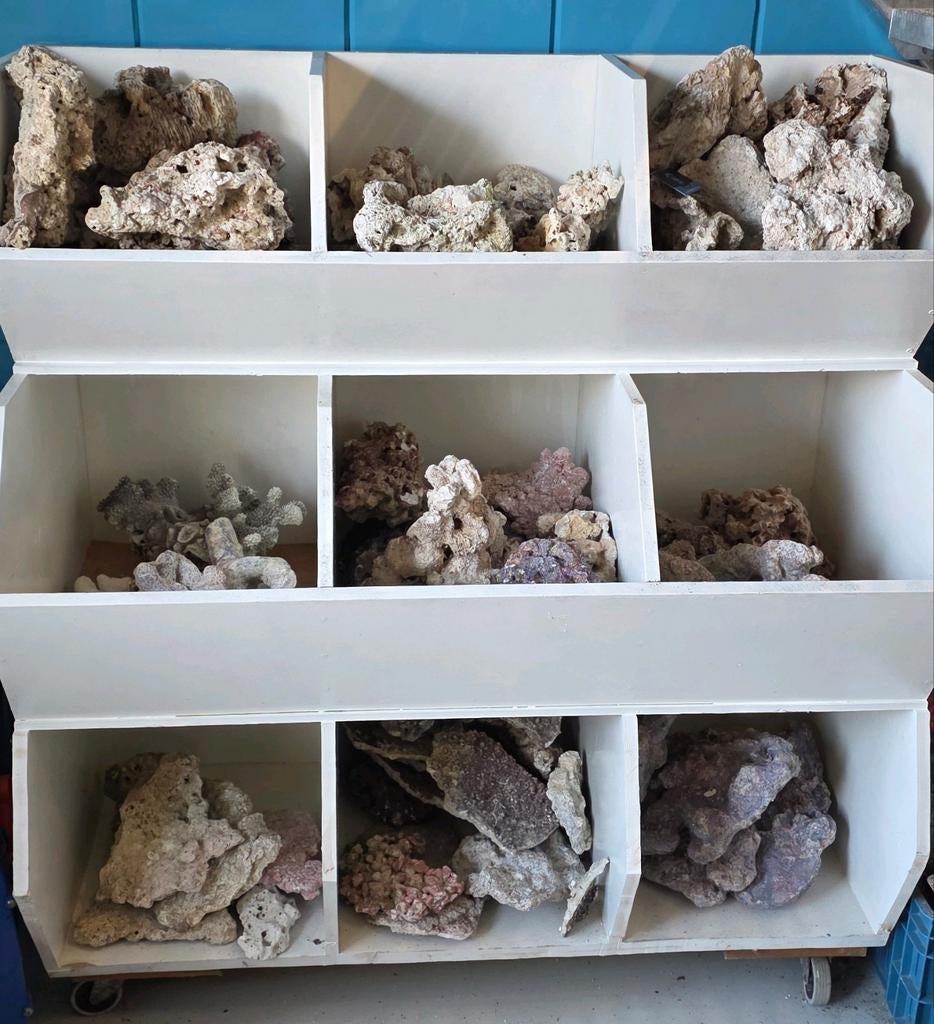 Rifsteen voor het zeeaquarium, Ophalen of Verzenden