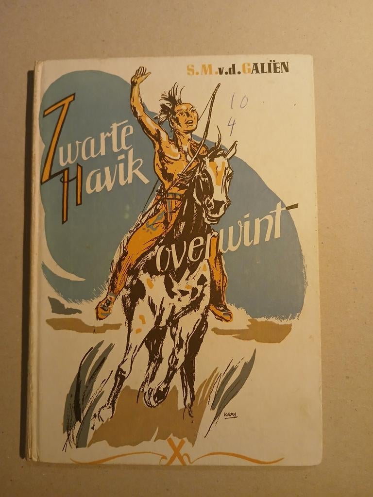 Zwarte Havik Overwint - Jeugdboek, Boeken, Kinderboeken | Jeugd | onder 10 jaar, Ophalen of Verzenden