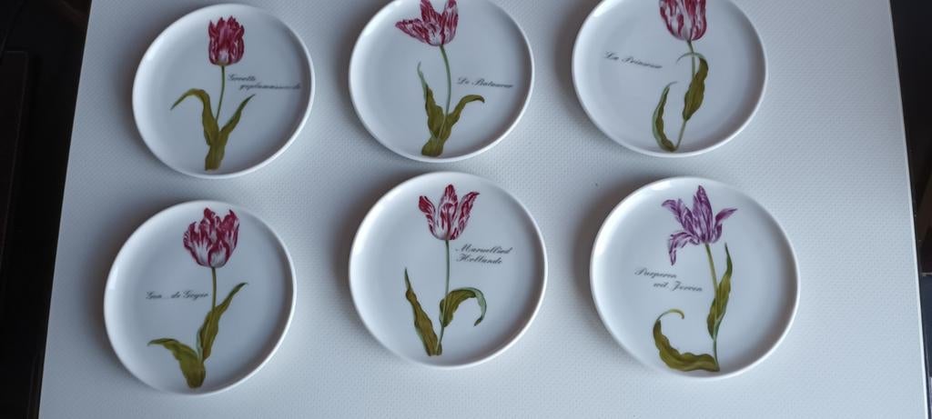 FOLCKE & MELTZER onderzetters, Ophalen of Verzenden, Overige stijlen, Porselein, Schaal of Schalen