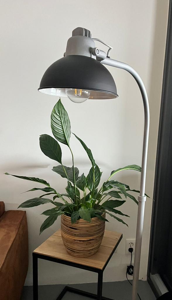 Vloerlamp FREZOLI, Huis en Inrichting, Ophalen, Zo goed als nieuw