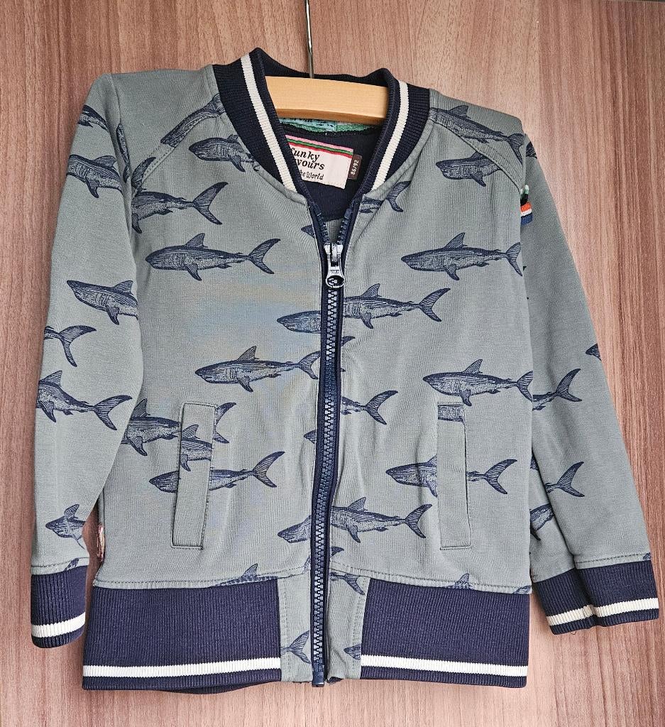 Vestje - 4funkyflavours - maat 86, Jongen of Meisje, Trui of Vest, Ophalen of Verzenden, Zo goed als nieuw