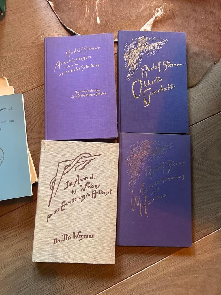 Duitse Antroposofische Boeken - Rudolf Steiner, Achtergrond en Informatie, Spiritualiteit algemeen, Ophalen, Gelezen