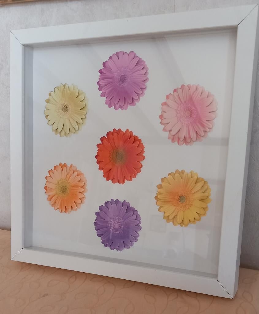 Gerbera's in lijst (Nijmegen oost), Minder dan 50 cm, Ophalen of Verzenden, Zo goed als nieuw, Minder dan 50 cm