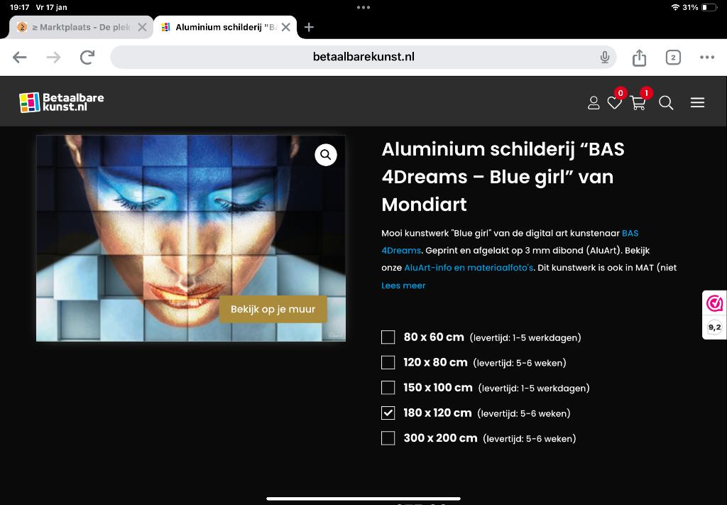 Schilderij op aluminium, Huis en Inrichting, Woonaccessoires | Schilderijen, Tekeningen en Foto's, Ophalen, 125 cm of meer, 75 cm of meer