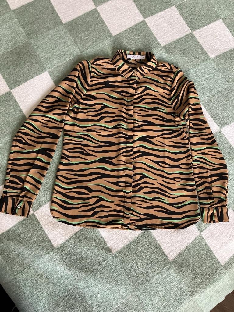 Costes blousje maat 36, Overige kleuren, Ophalen of Verzenden, Zo goed als nieuw, Costes