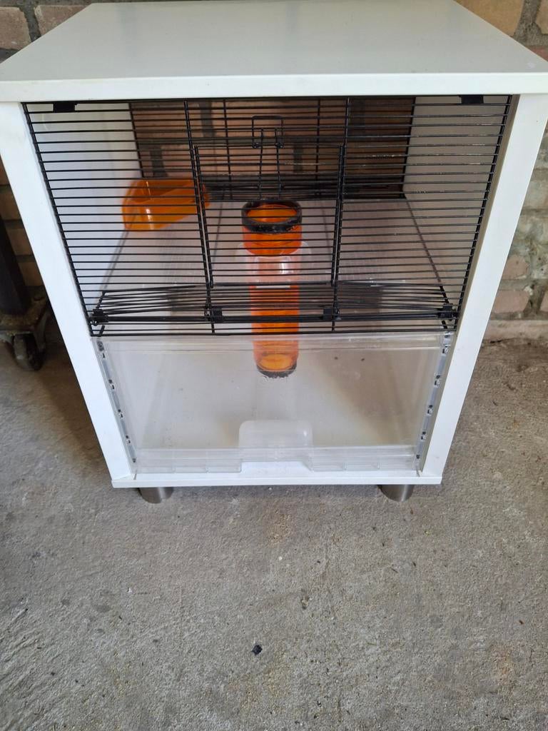 Knaagdieren verblijf, Ophalen, Minder dan 75 cm, Kooi, Minder dan 60 cm