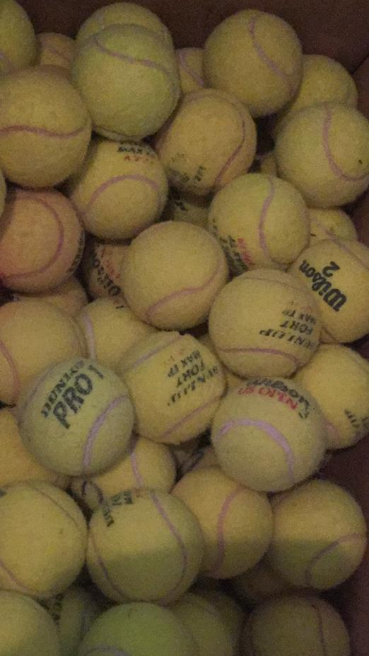 Gebruikte tennisballen, Overige merken, Gebruikt, Ballen, L00