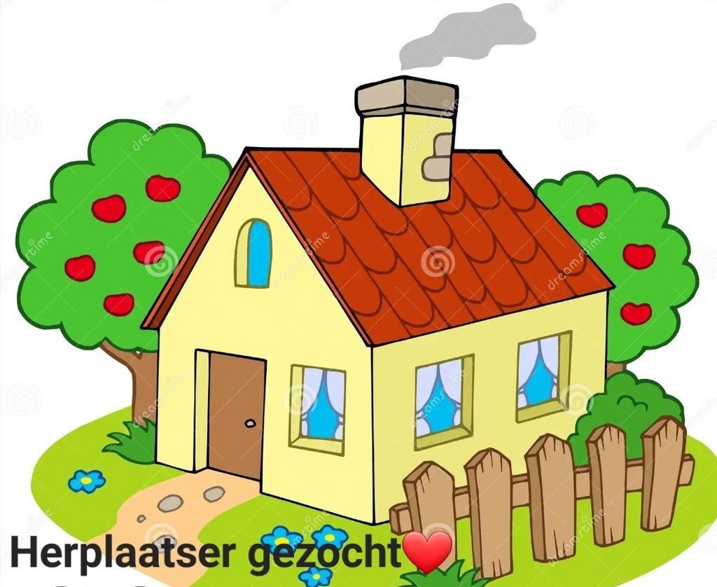 Herplaatser gezocht, Overige rassen, Meerdere dieren, Eén hond, 3 tot 5 jaar