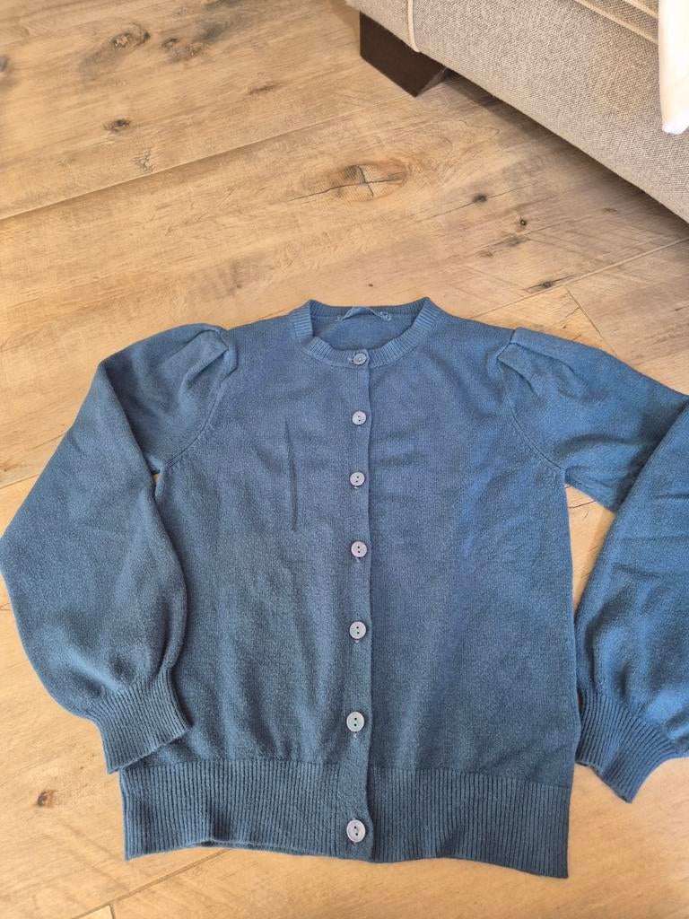 Blauw vest met knopen, maat S, Kleding | Dames, Truien en Vesten, Gedragen, Maat 36 (S), Blauw, Ophalen of Verzenden