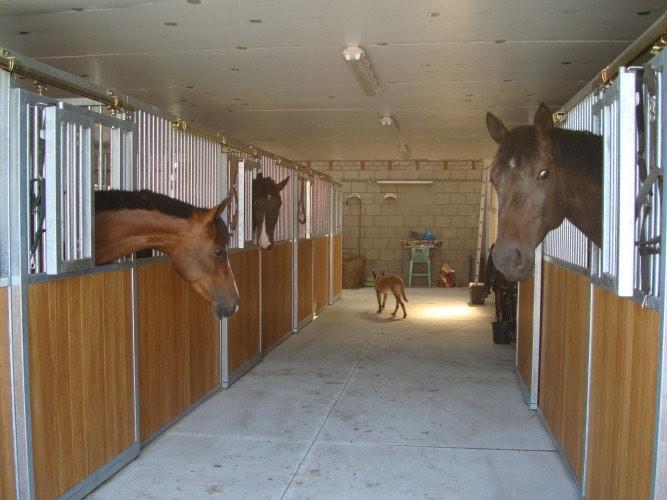 Paardenboxen, paardenstallen, stallen, voorwanden,, Stalling, 4 paarden of pony's of meer