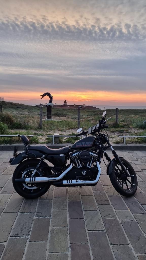 Harley-Davidson Sportster XL1200L 2007 38.795km, 2 cilinders, Particulier, Meer dan 35 kW, 1200 cc