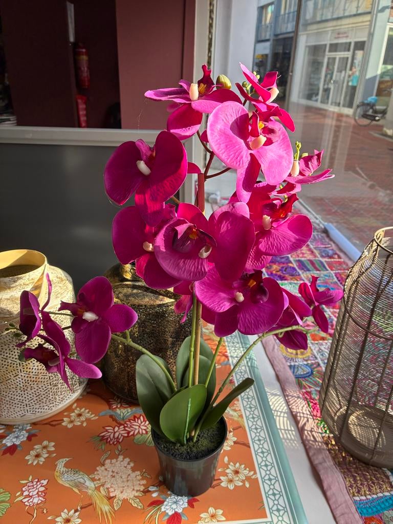 Kunstorchidee in pot, fuchsia, Ophalen, Binnen, Gebruikt, Roze